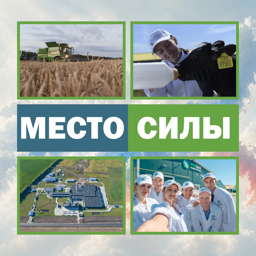 Сегодня вся страна отмечает День России, и мы от души поздравляем каждого из вас! 🇷🇺

К 12 июня в 