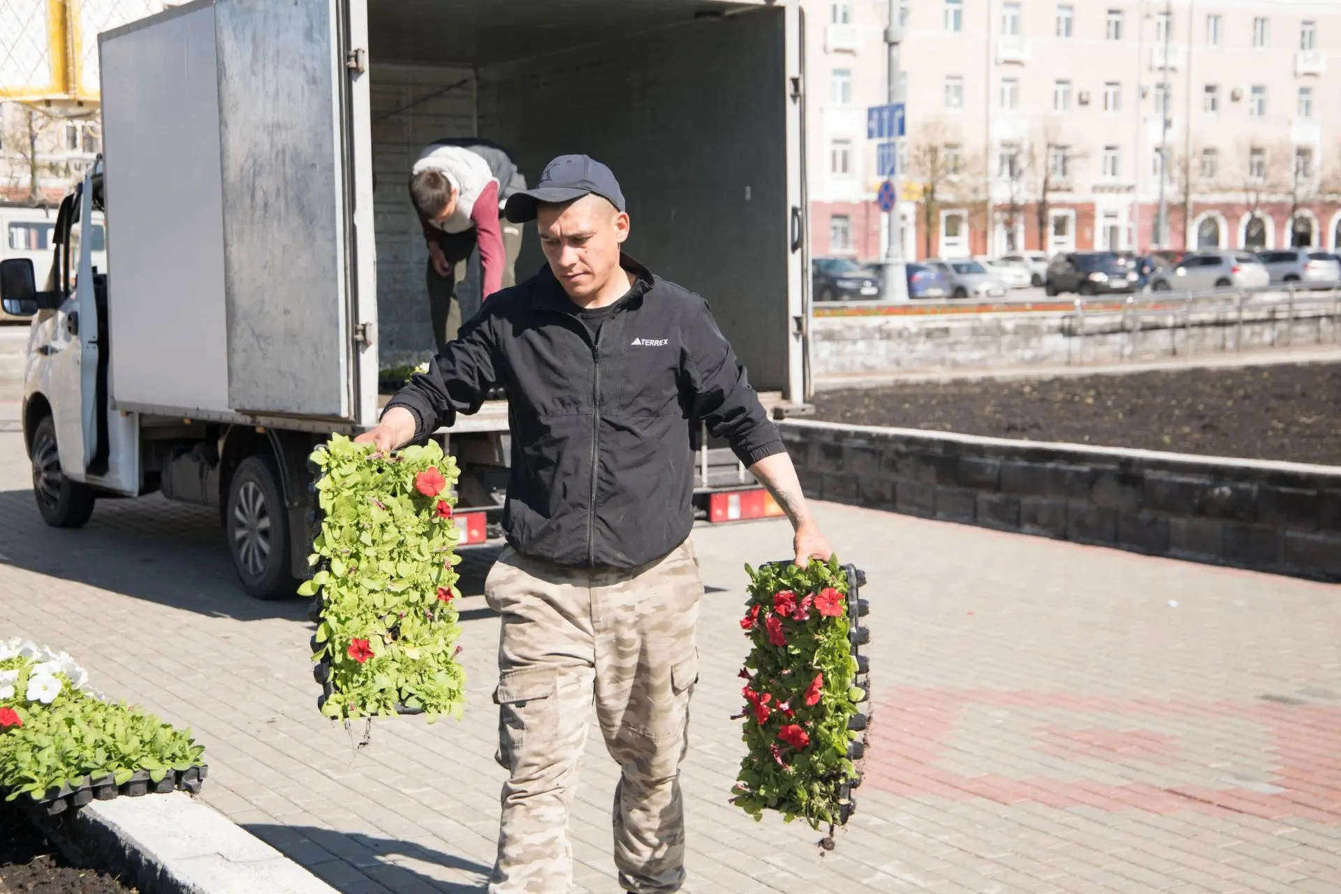 В преддверии Дня Победы в городе продолжается высадка цветочной рассады. Сегодня очередная партия яр