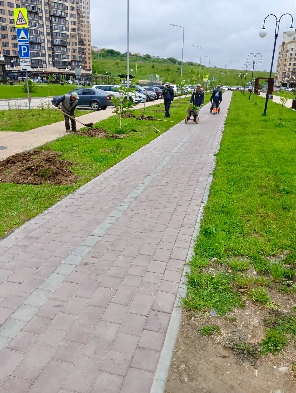 🌿 Зелени много не бывает!🌿