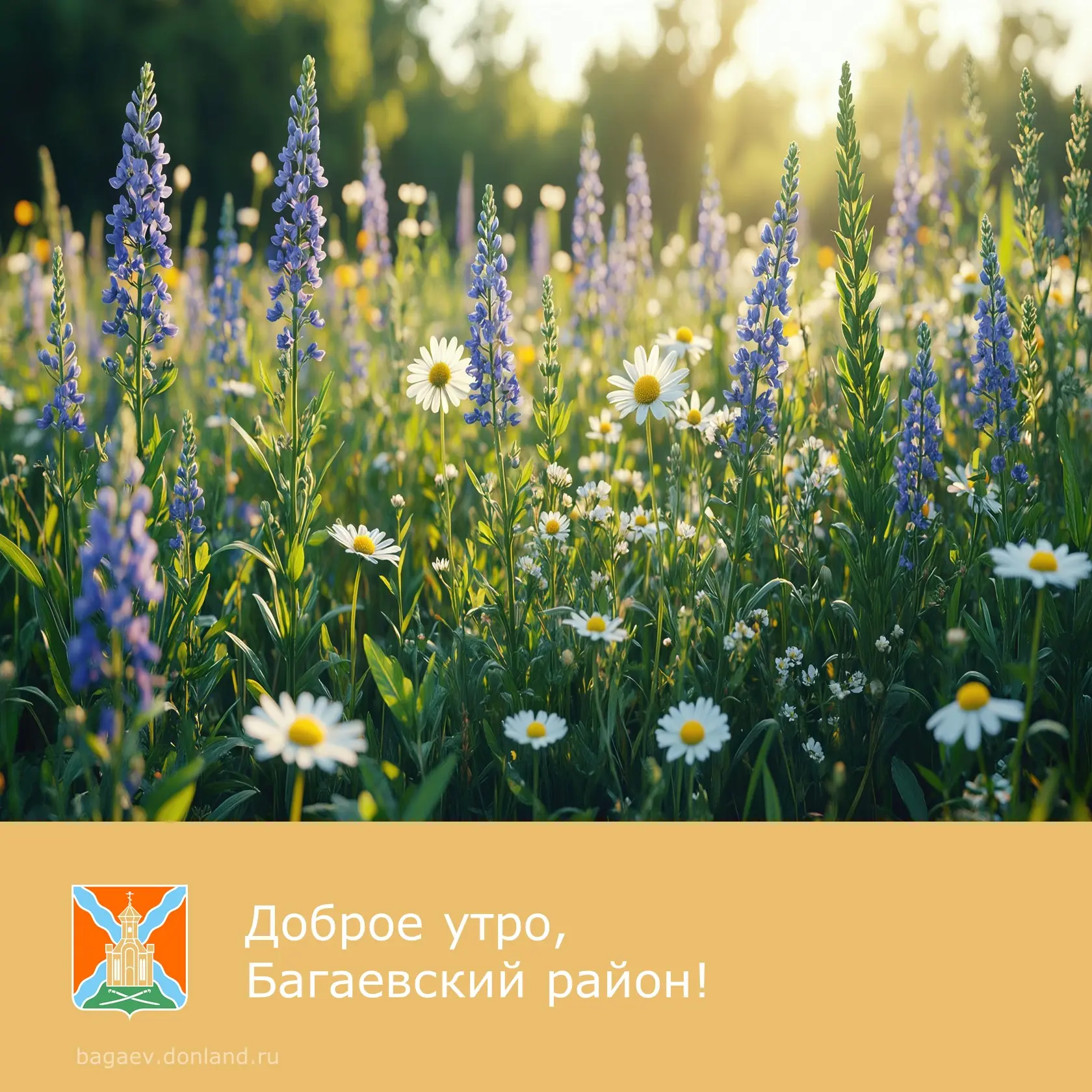 🌸 Доброе утро, уважаемые жители Багаевского района!
