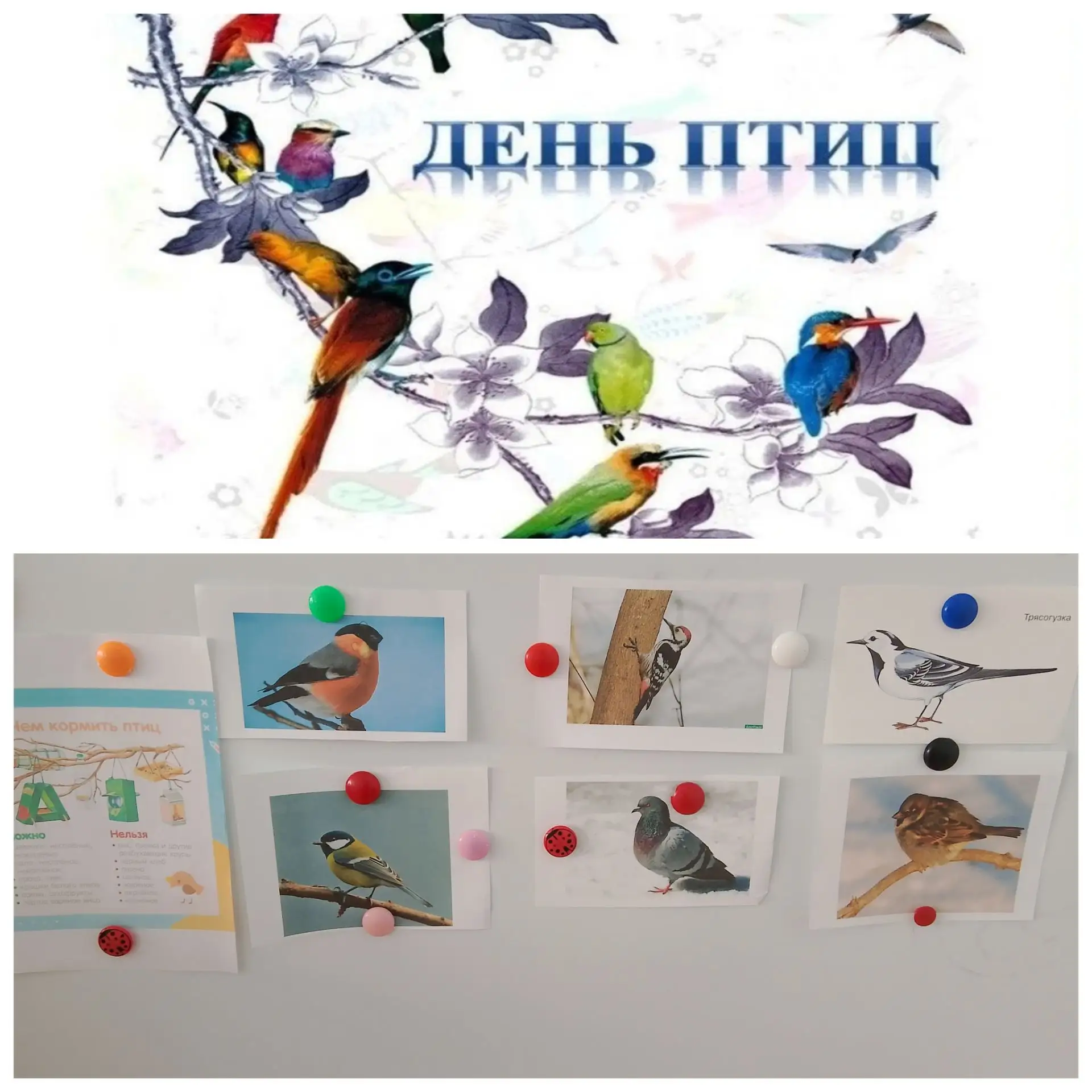 Сегодня в группе "Воробушки" тематический день- "День птиц". 🐦🐦🐦 С детьми провели бе...