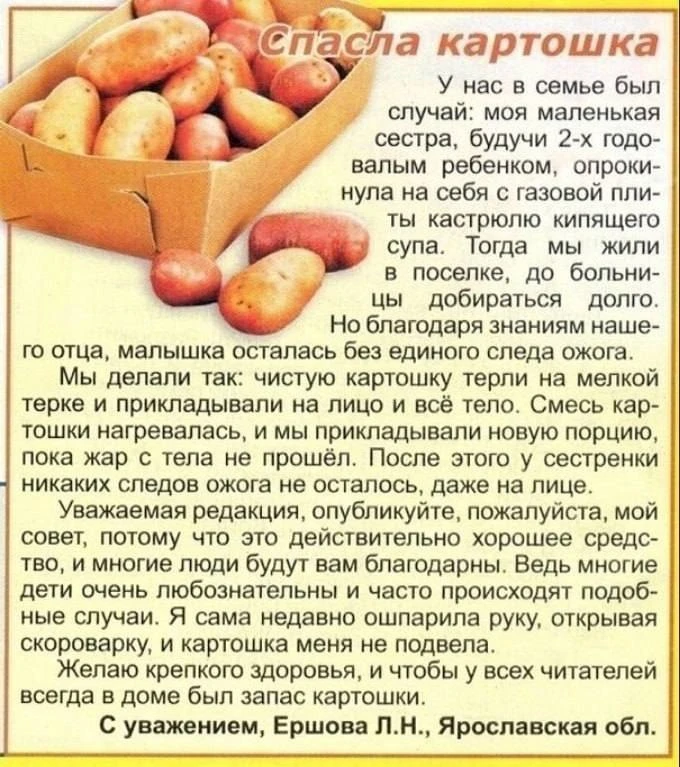 Спасла картошка 🥔
