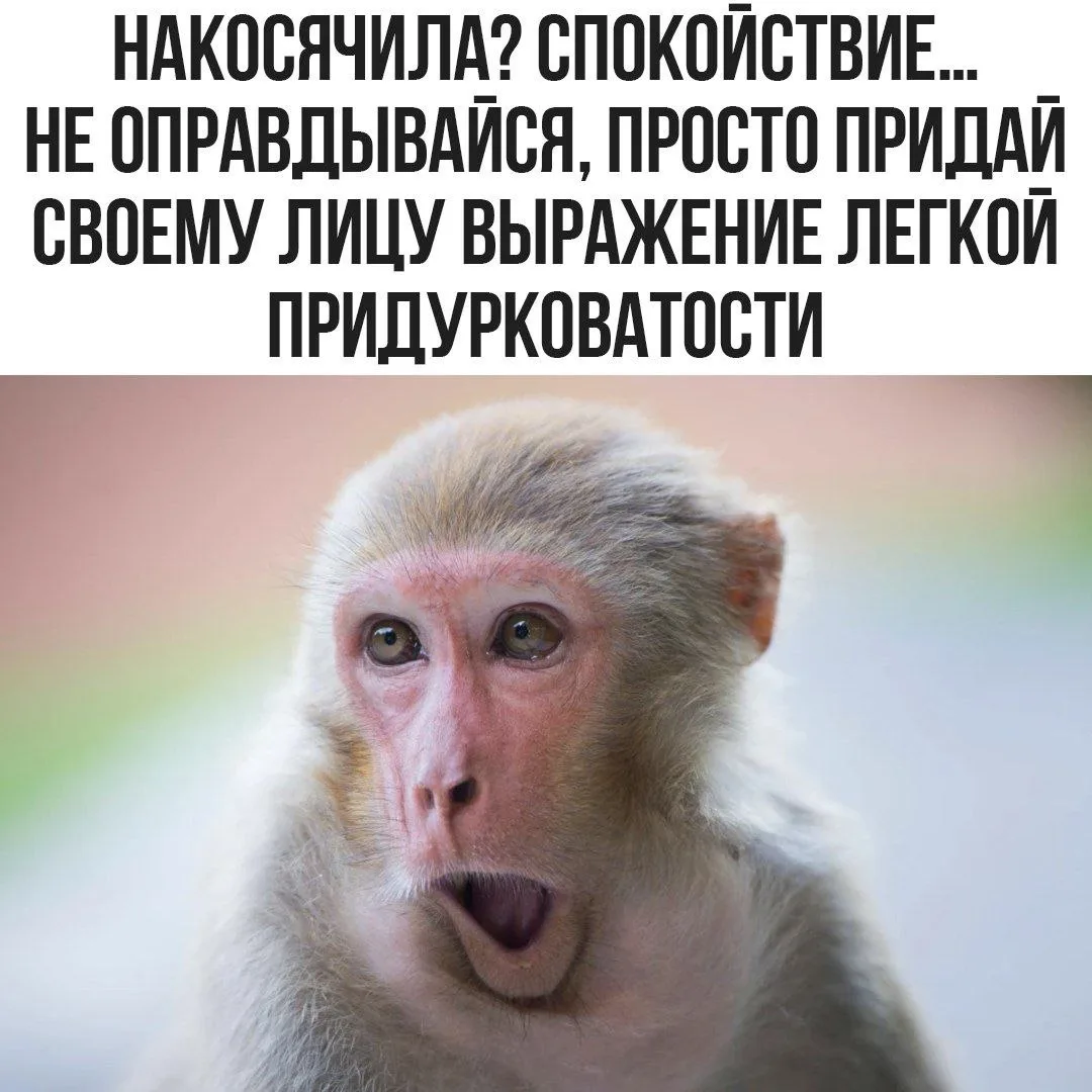 🤣Юмор в картинках