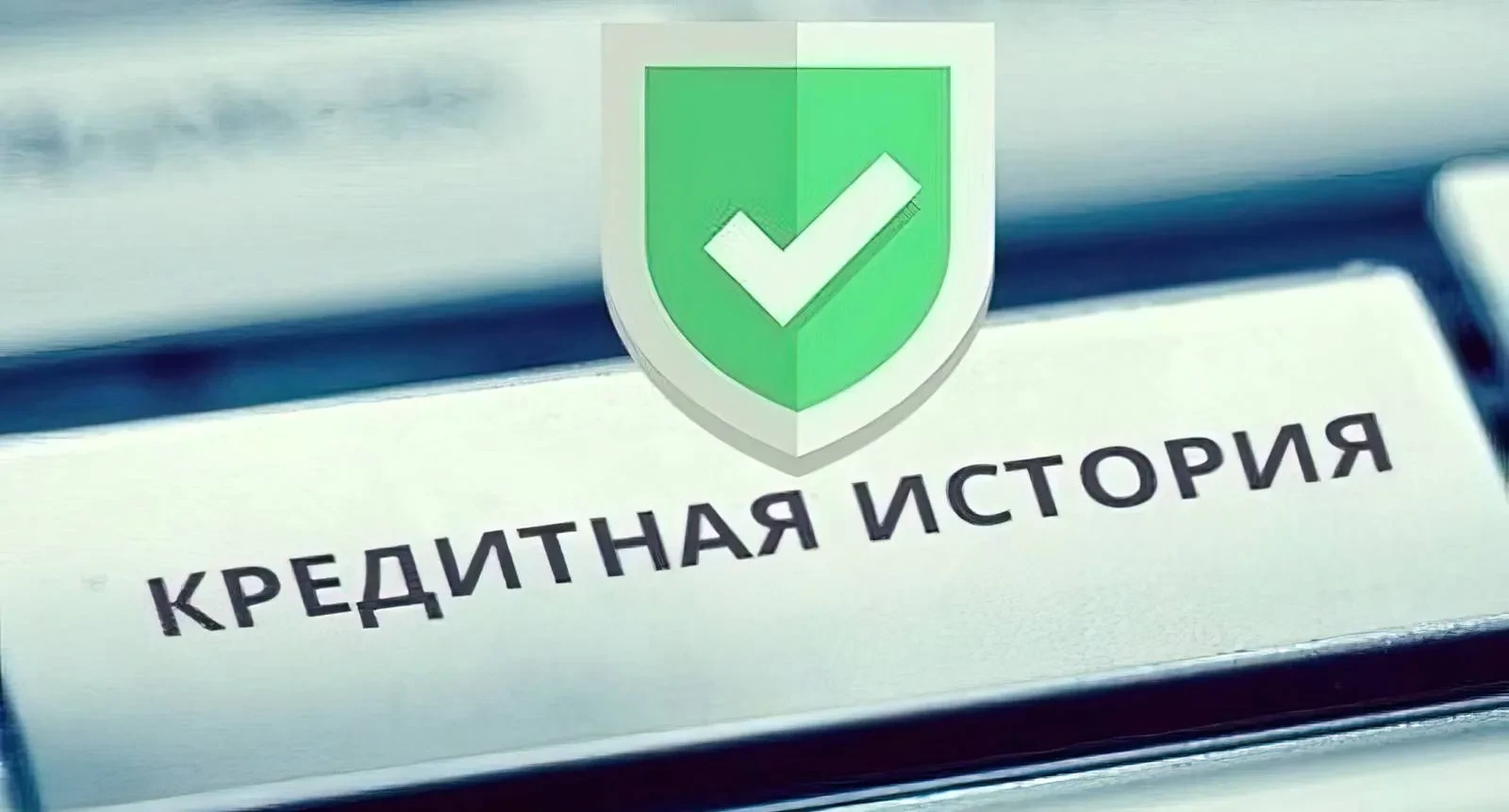 Узнать кредитную историю можно через госуслуги