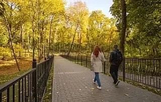 На рабочей неделе в Тульскую область придёт «старое бабье лето»