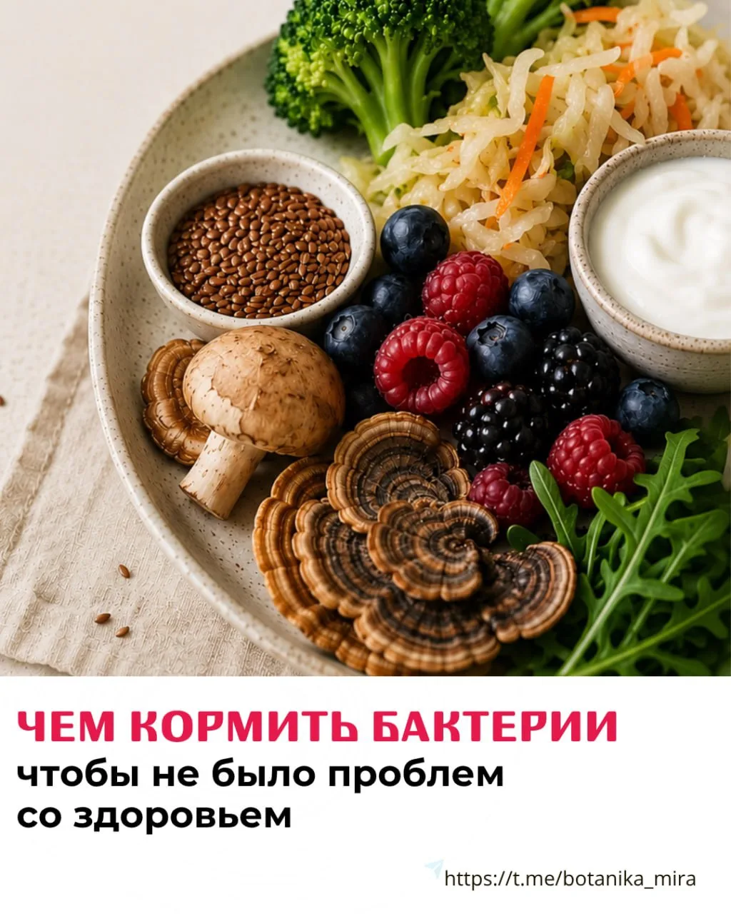 Чем кормить бактерии, чтобы не было проблем со здоровьем