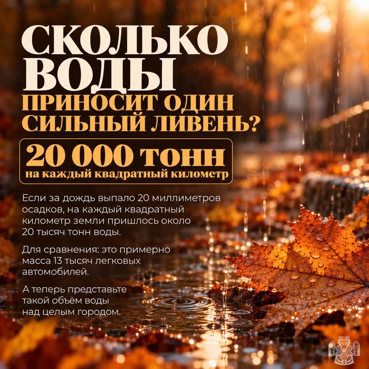 Изображение 5 к публикации «Новости Владивостока и Края»