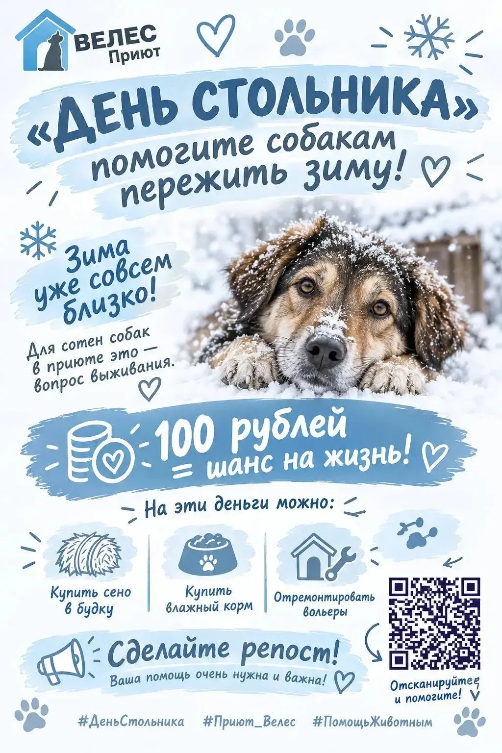 «День стольника»: помогите  собакам пережить зиму!