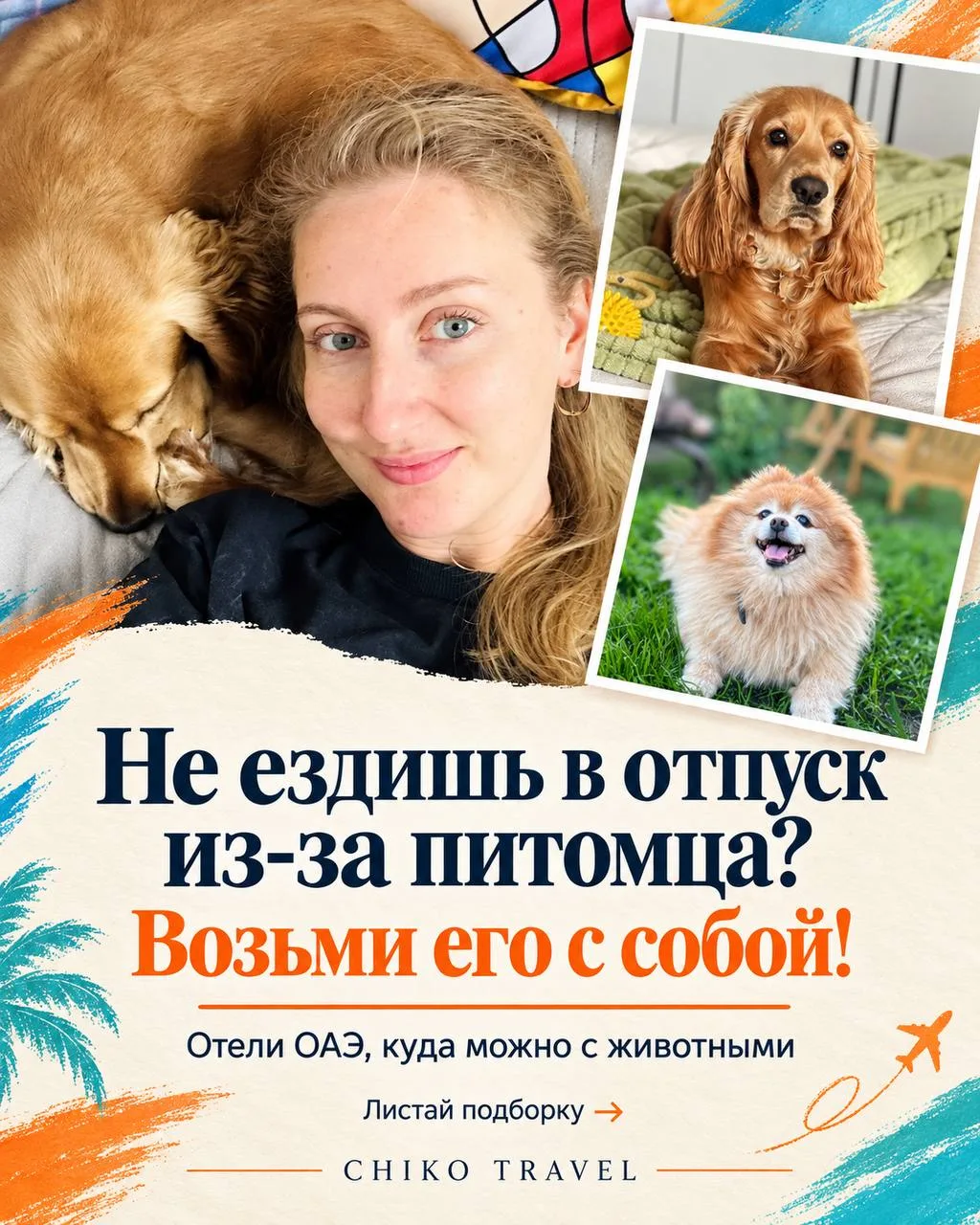 🐾 Отпуск отменяется, потому что не с кем оставить питомца?