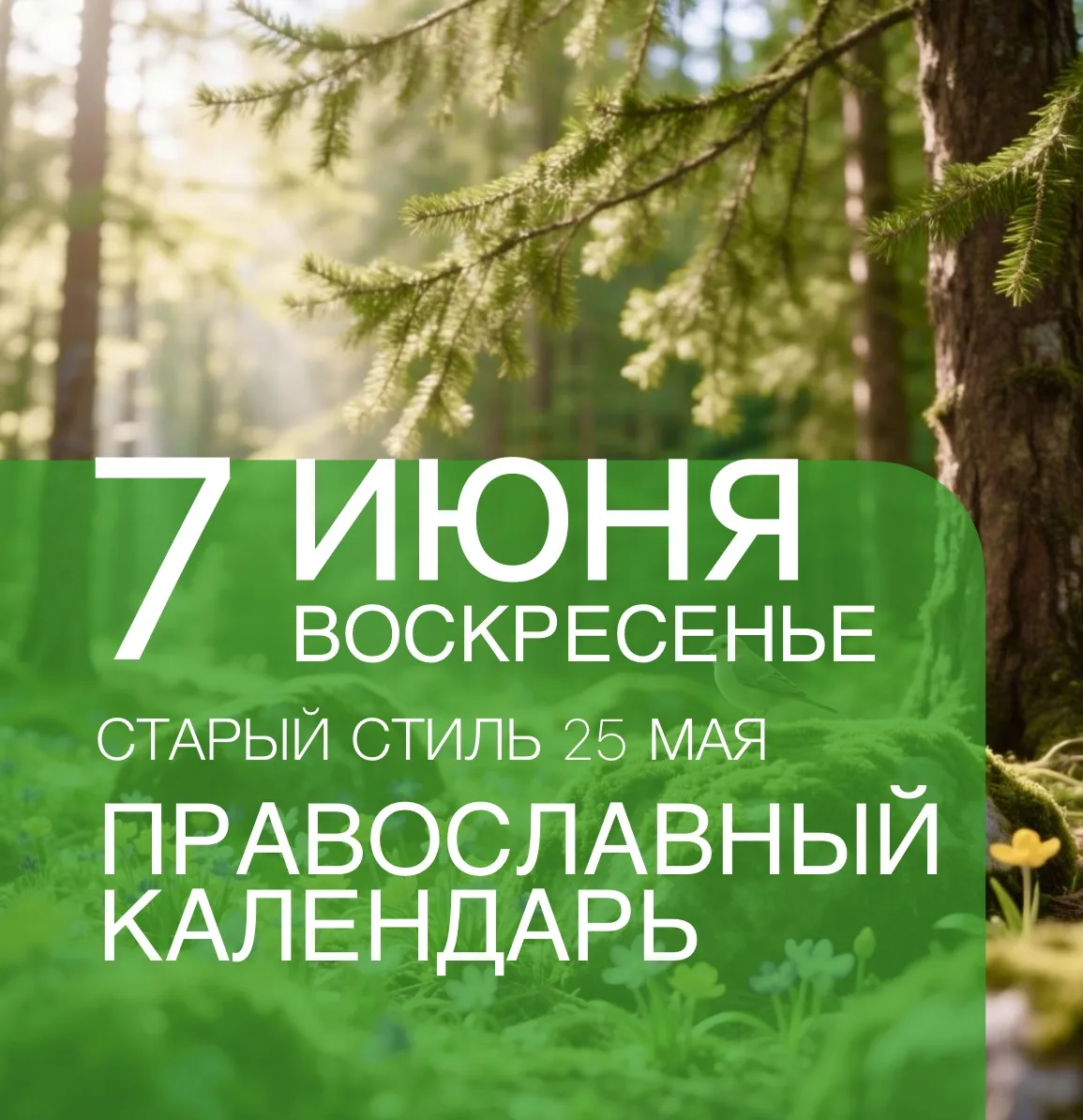 Календарь дня
