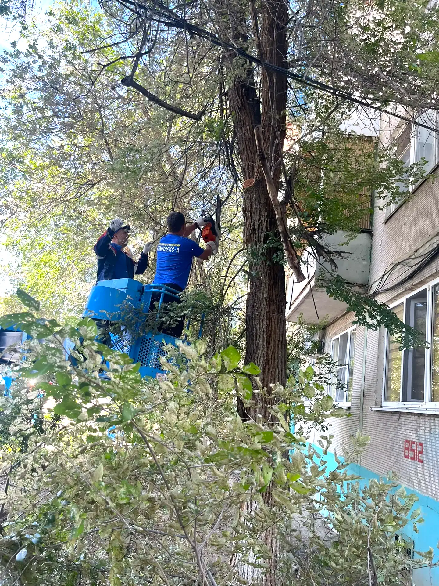 К новости «🌿 Забота о комфорте придомовой территории!»