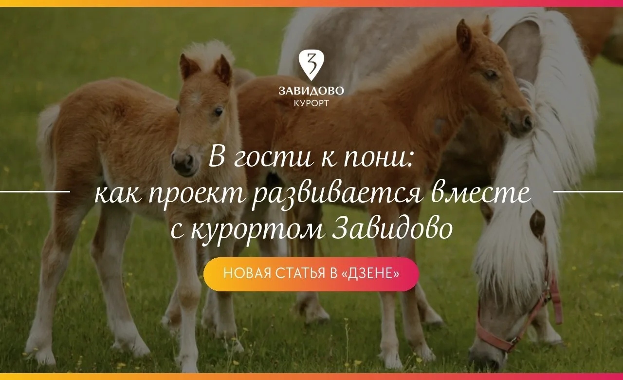 Всего в ста километрах от шумной Москвы, в сердце леса, притаился уголок, где живут самые обаятельны