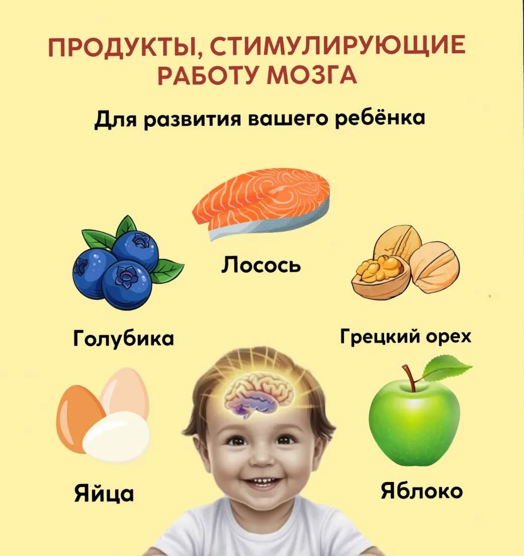 ПРОДУКТЫ, СТИМУЛИРУЮЩИЕ РАБОТУ МОЗГА