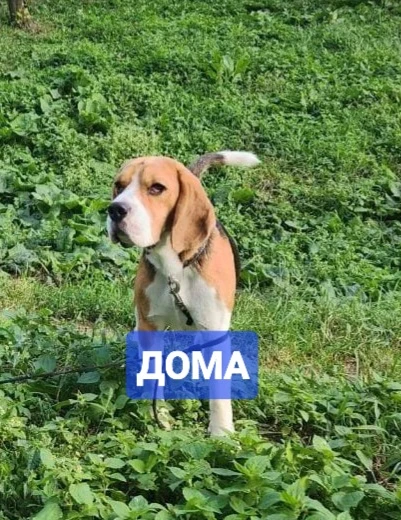 НАЙДЕН.