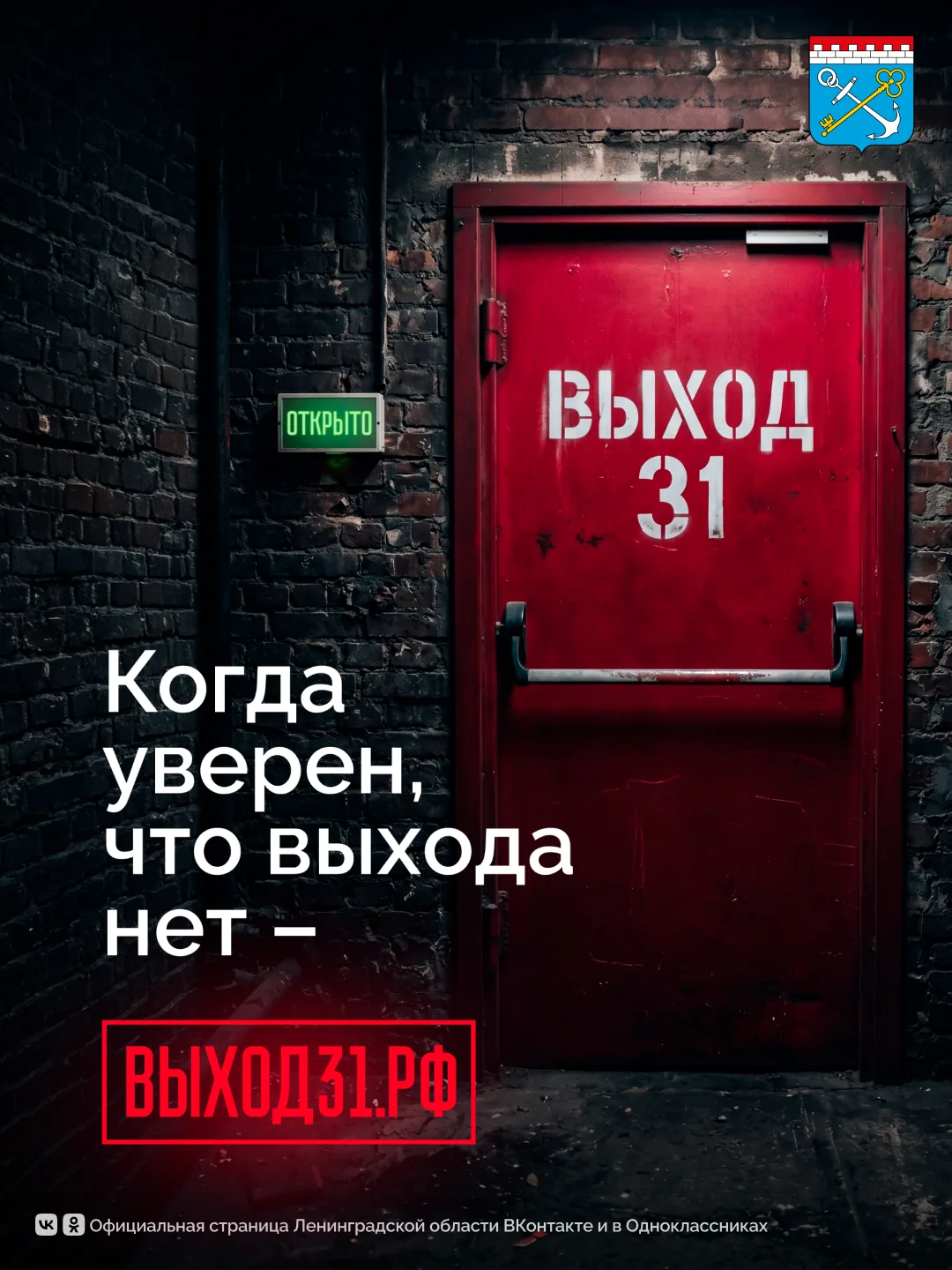 В России стартовал проект «Выход31», созданный для защиты молодежи от вовлечения в опас...