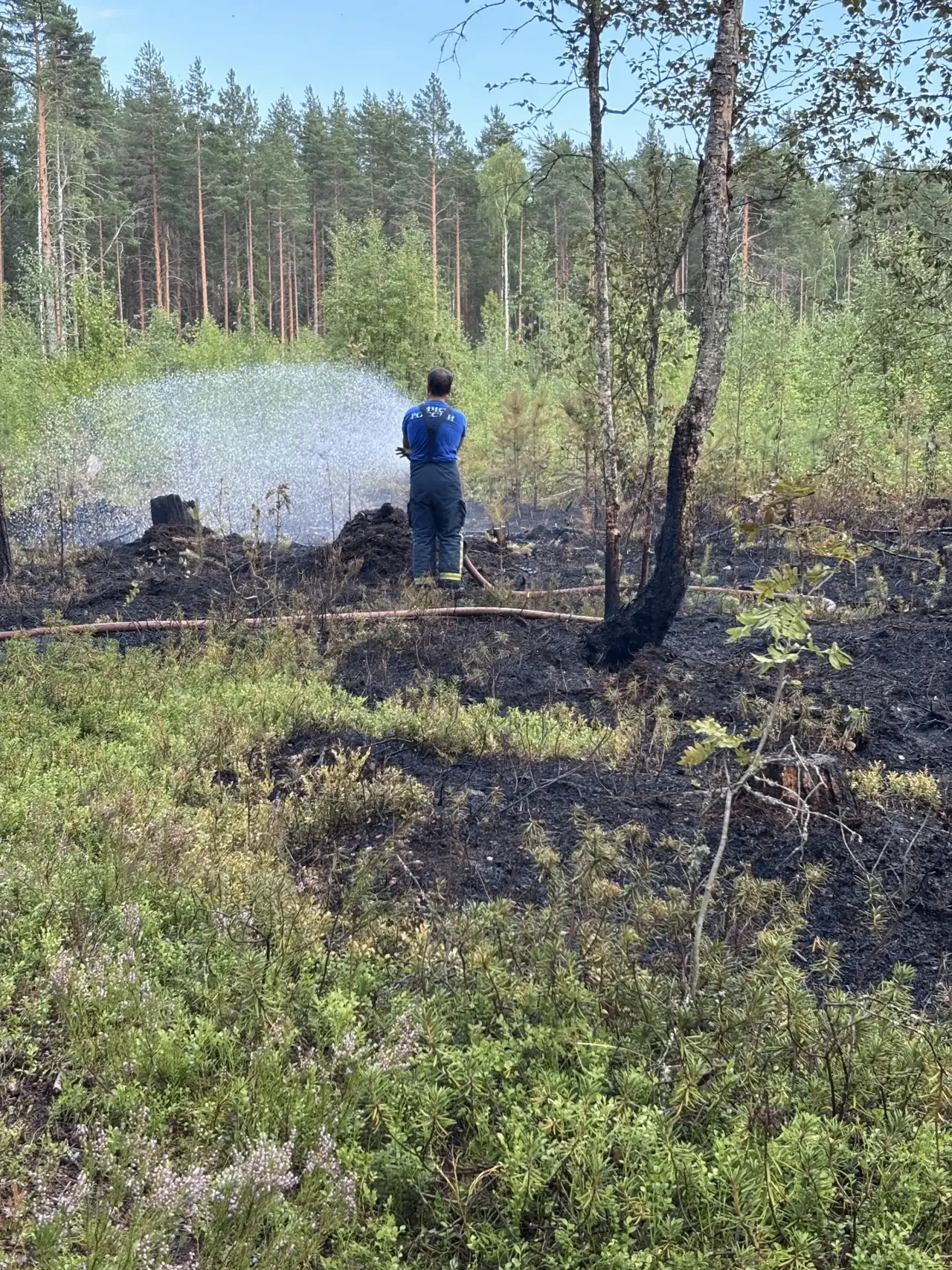 С начала сезона в Карелии потушили 60 пожаров, общая площадь возгораний составила 208,5 гектаров

По