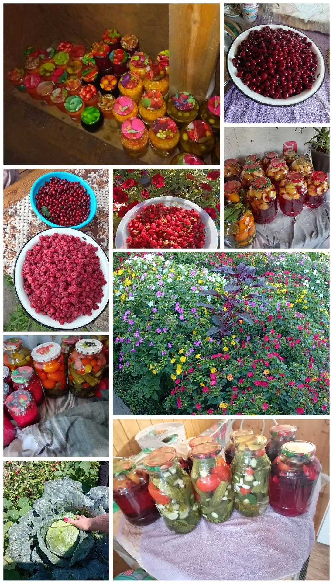 Готовим с Любовью 🍅🥒🥕🥦🧄🧅🌶🌽🍓🍒 Домашние заготовки, сезон 2026😋🌺❤❤❤