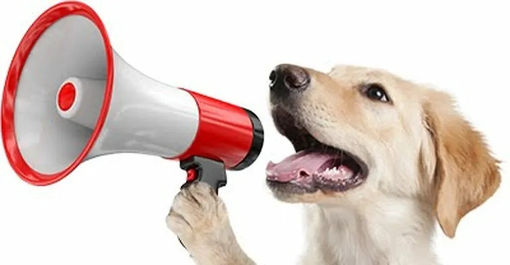 ⚠️ Важное уведомление для наших покупателей! ⚠️