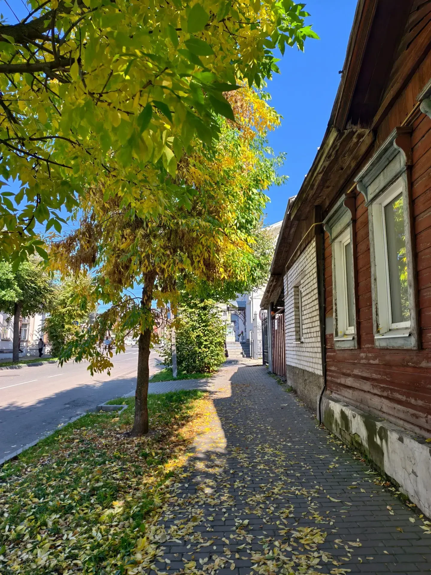 В Костроме сегодня бабье лето 😍