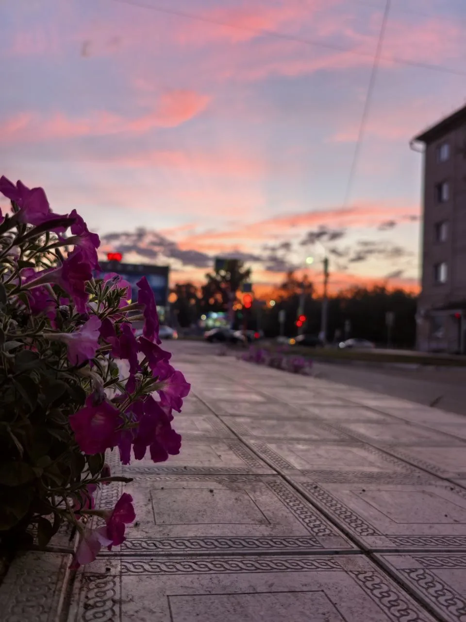 Доброй ночи, Рубцовск 😴