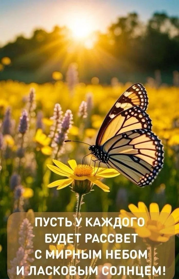 Открытки с верой