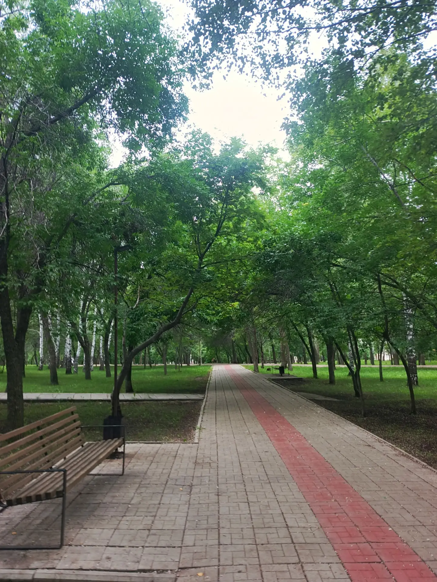 Лето в парке Победы 🌿