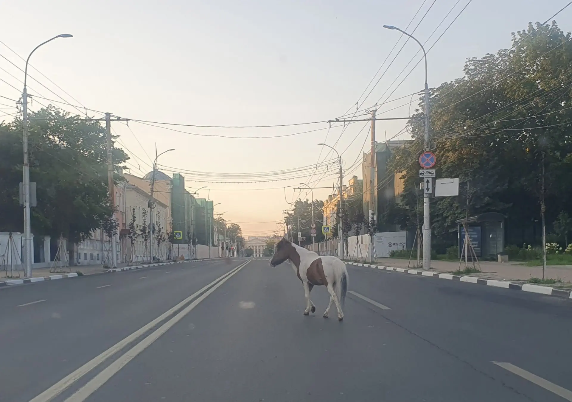 Пони гулял в Рязани на улице Ленина. Цирк, да и только.