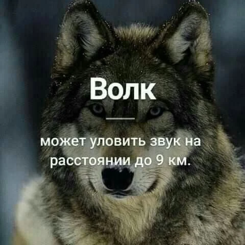 Признавайтесь, знали?