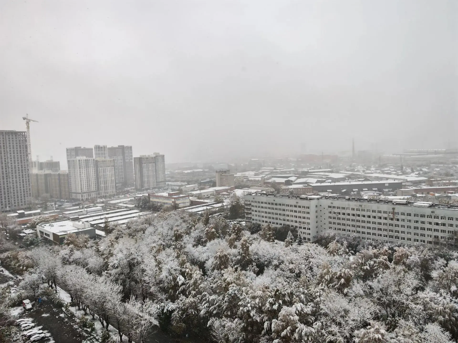 Снежное утро в Пионерском