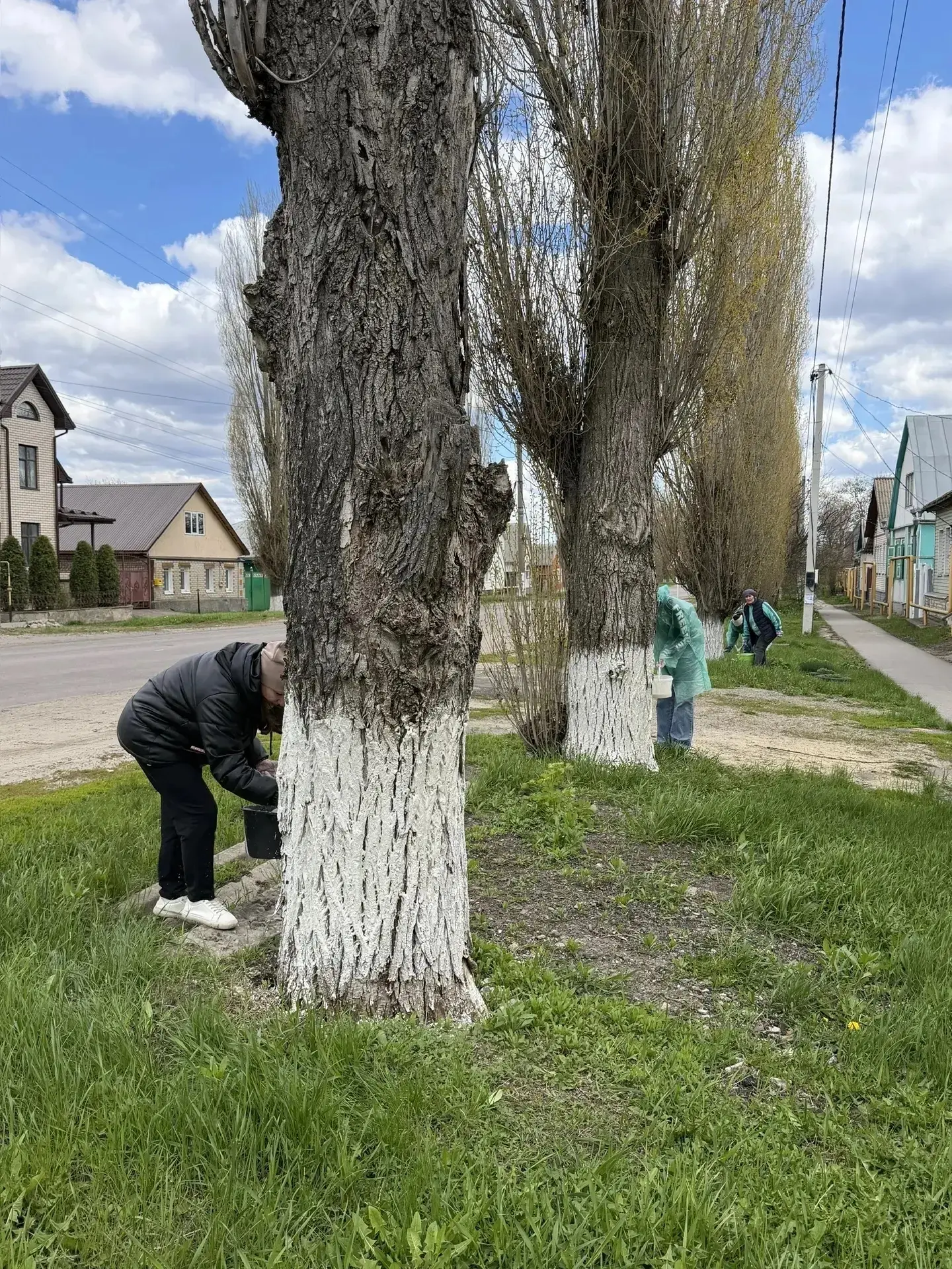 ✅ Сегодня, 29 апреля, на территории Бутурлиновского городского поселения состоялся очередной субботн