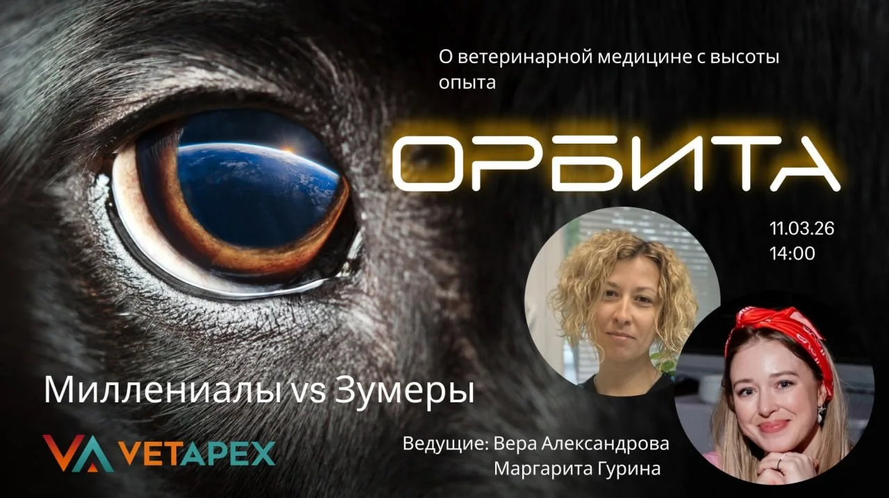 ▶️ПРЯМОЙ ЭФИР