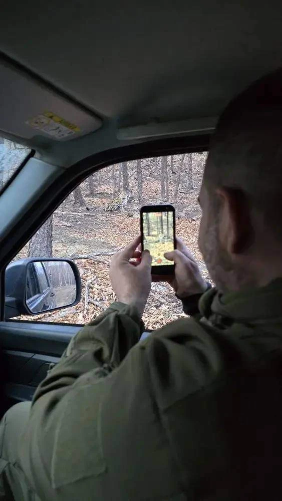 Гости нацпарка "Земля леопарда" встретили пятнистую кошку                                           
