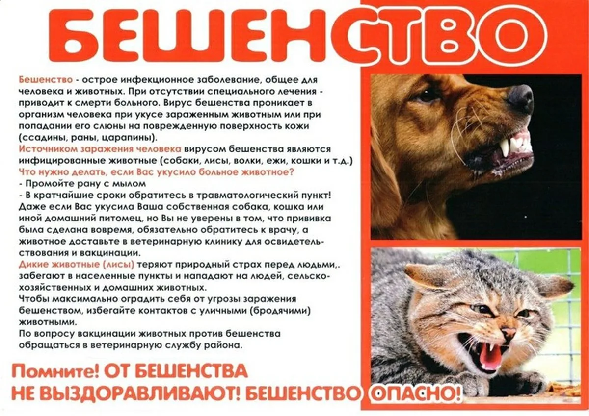 Памятка для населения