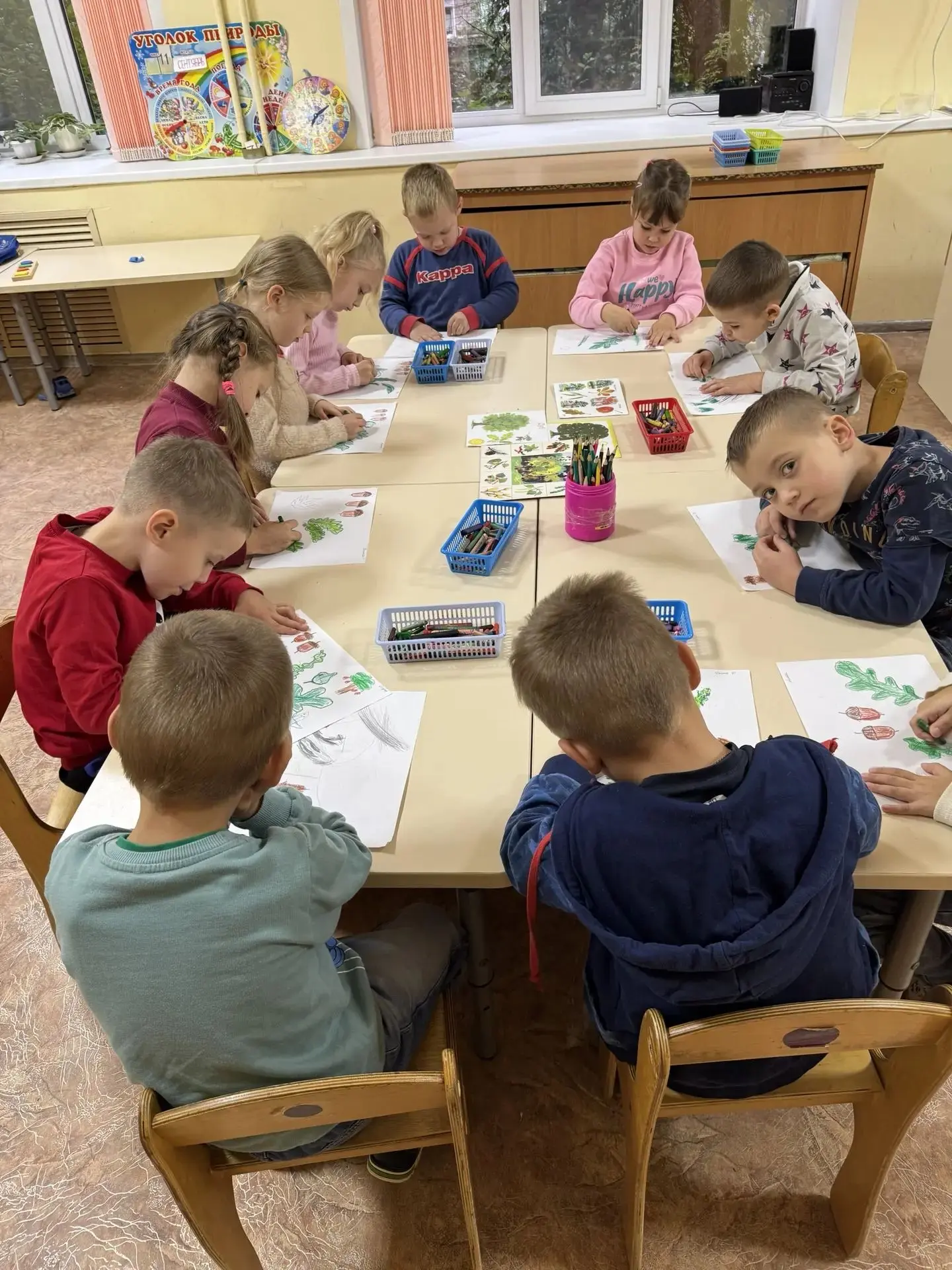 Сегодня дети логопедической группы 7 изучали характерные особенности листьев и плодов р...