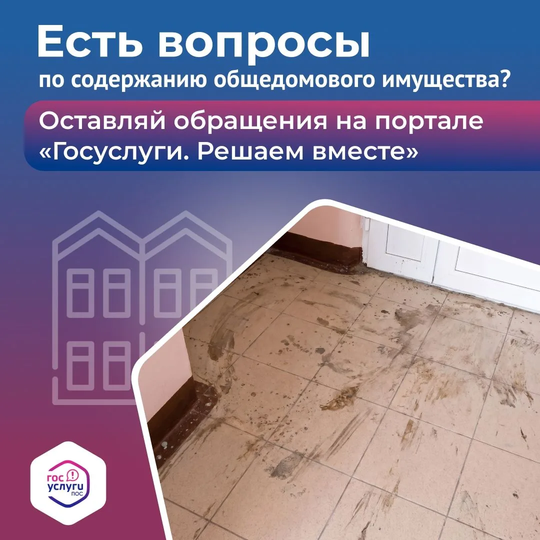 Не моют полы в подъезде? Сообщить о проблеме очень просто.

Теперь не нужно никуда идти – все можно 