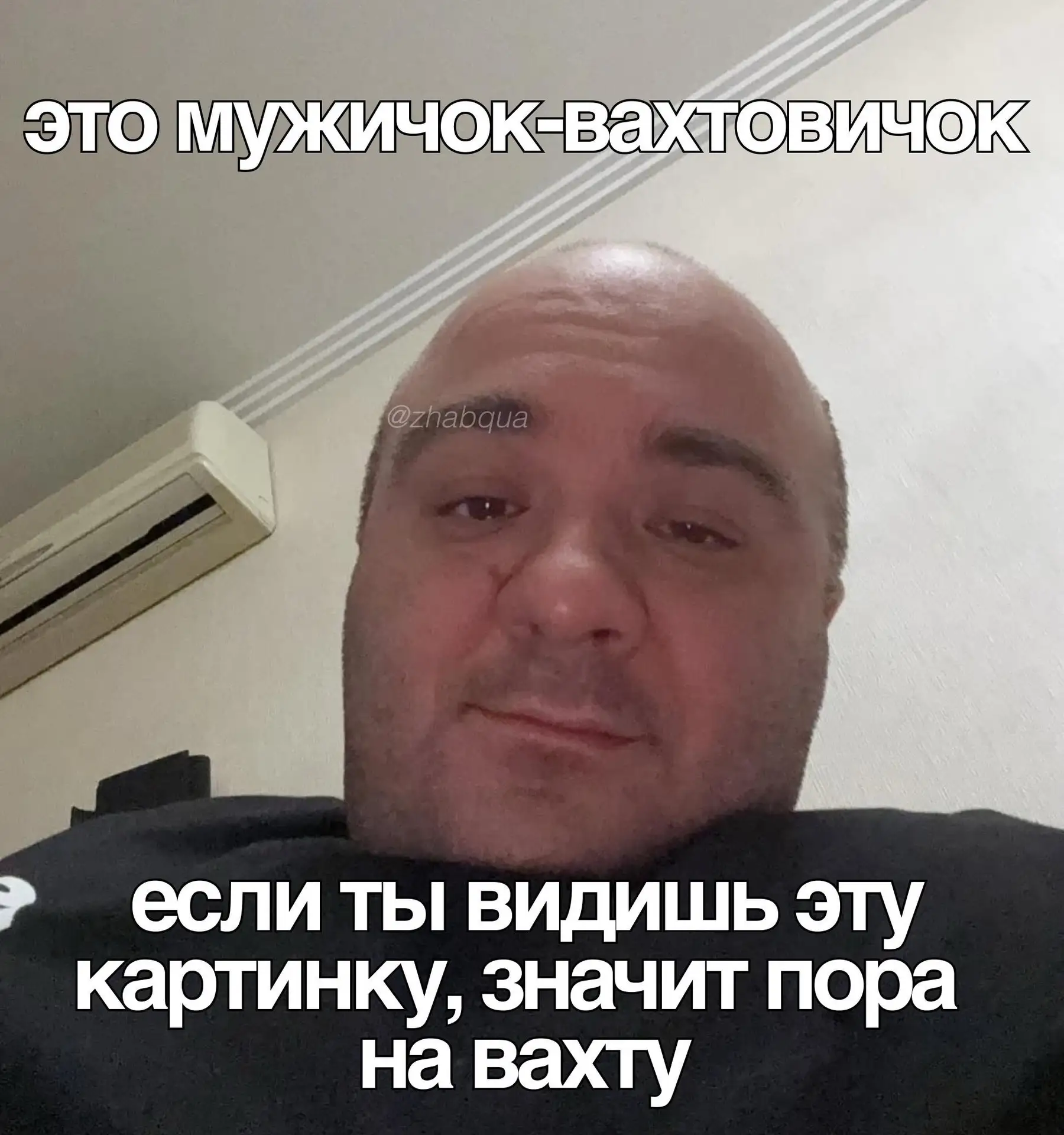 Собрали все наши последние #жаб_мемы в один пост, чтобы вы еще раз похихикали