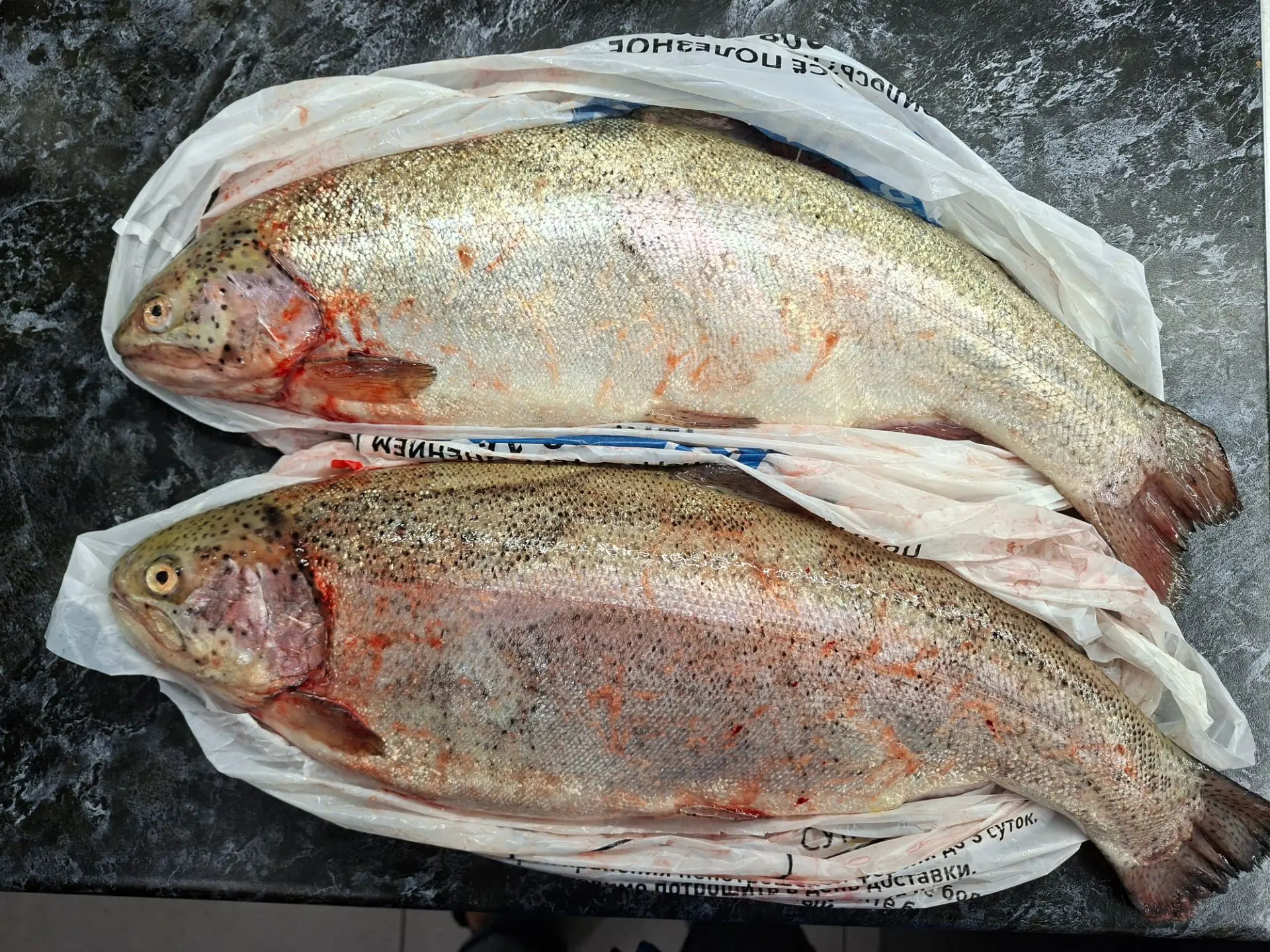 Вчера привезли вот таких двух красавиц! 🐟🐟