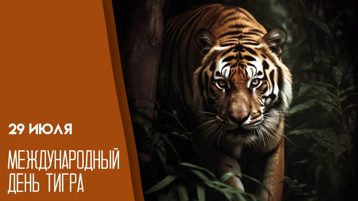 Праздник 2️⃣9️⃣ июля посвящён одному из самых красивых и сильных животных на планете — тигру.🐅
Праз