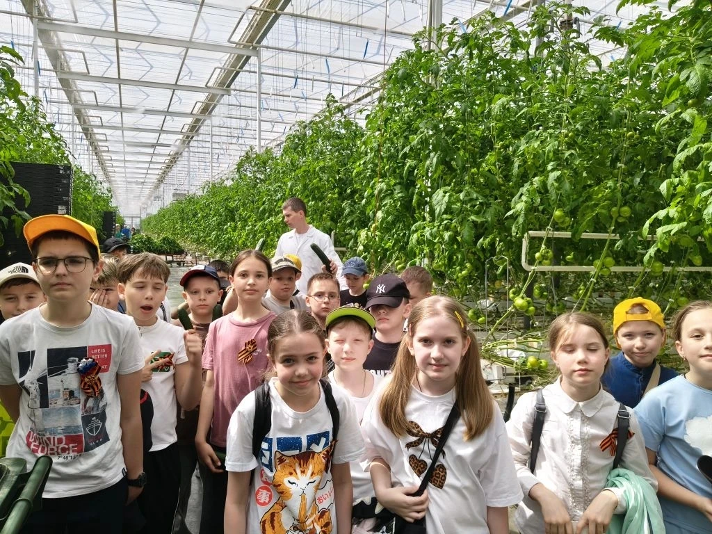 «НейроВитамины» на грядке: салат, огурцы и море открытий! 🥬🥒🍅Небольшой рост – а витаминов вагон!   🚀