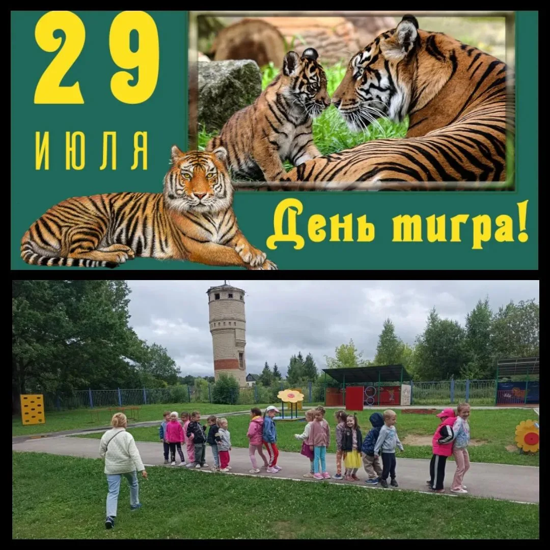 🧡🐯 В детском саду п.Рождественский, ул.Фёдорова, 5а🏡 прошел увлекательный День тигра! 🐾✨

В дошк