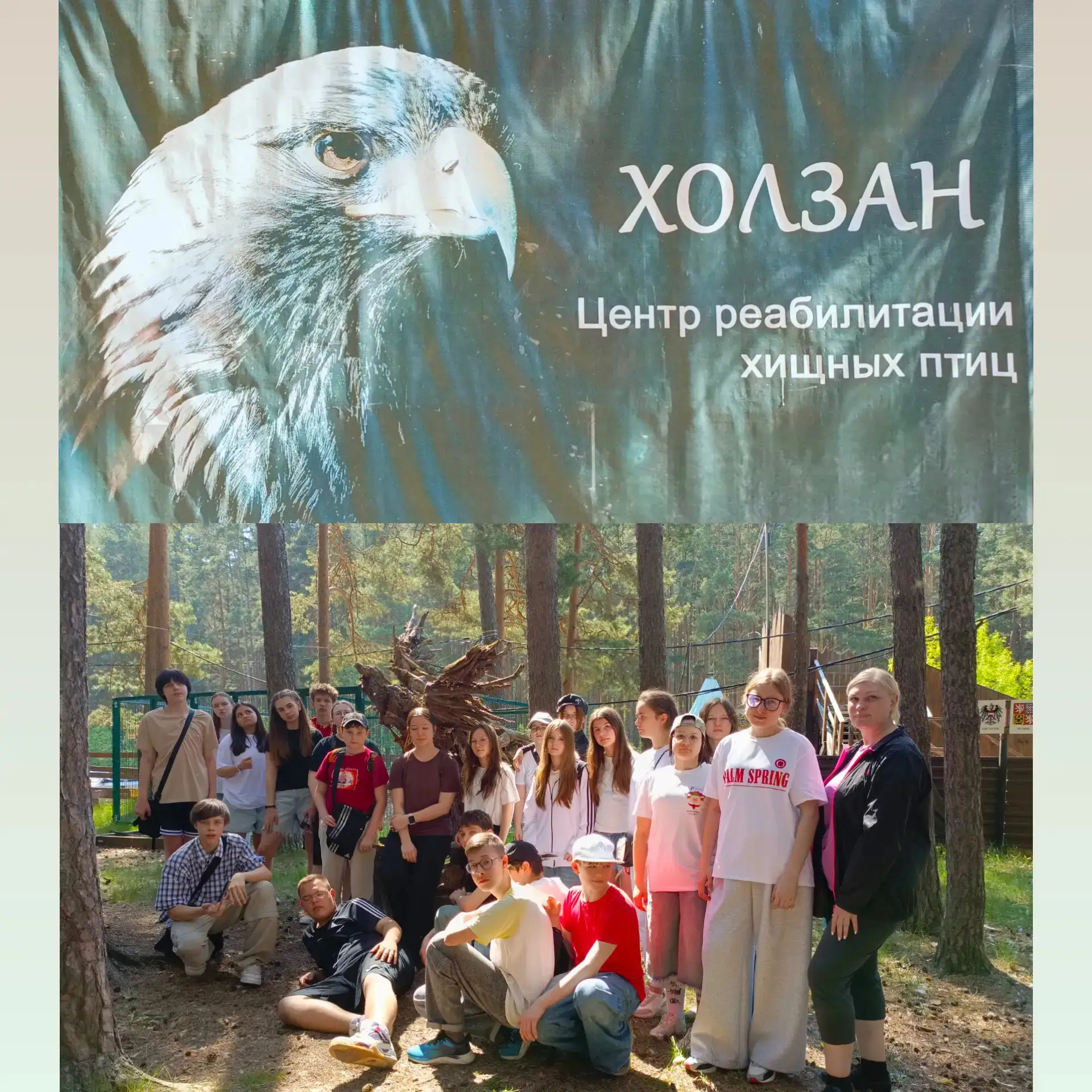 7 «В» класс: полет к знаниям и природе в питомнике «Холзан»! 🦅🦉