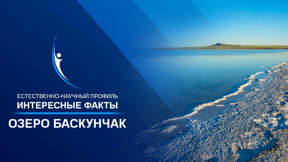 🧪 «Солёная лаборатория под открытым небом»

🔬 Педагоги и ребята естественно-научного профиля подел
