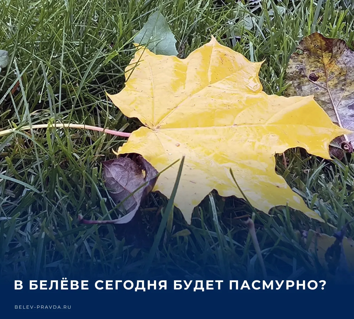 ☁️ Бодрое утро, Белёв! Сегодня в нашем городе по прогнозам синоптиков в течение всего д...