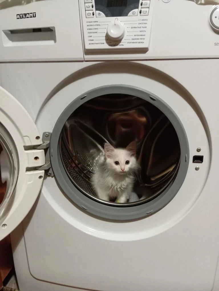 С кондиционером или без🤗