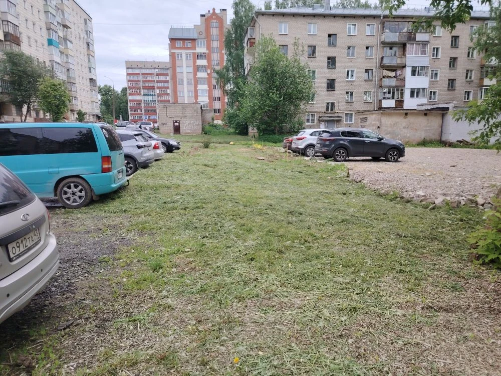 04.06.26 осуществлена покос МКД Некрасова 38