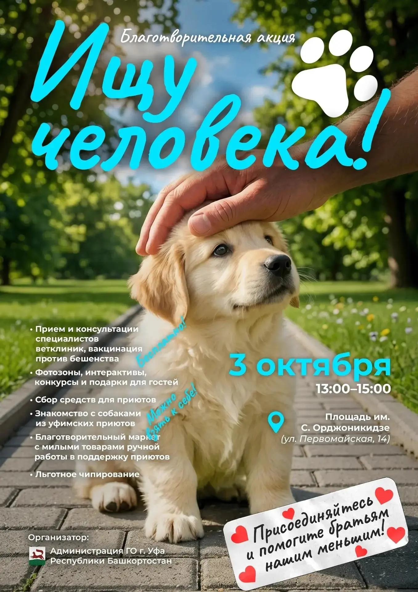 🐾Найди верного друга