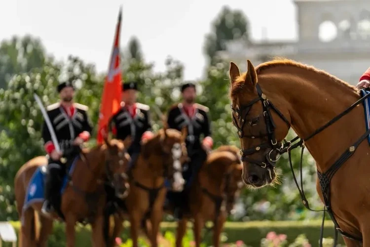 Если хотите взглянуть на столицу глазами разных поколений с начала 1950-х годов до наше...