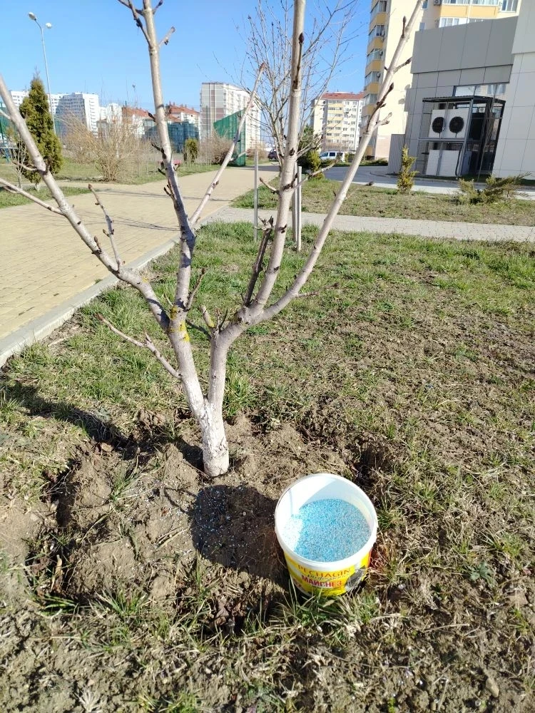 Уважаемые жители! По адресу: шоссе Супсехское ✅📸Информируем вас о проведении  мероприятий по благоус