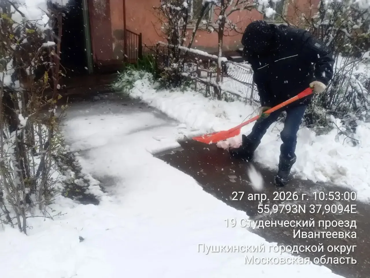 27 апреля на календаре, за окном снежный коллапс.