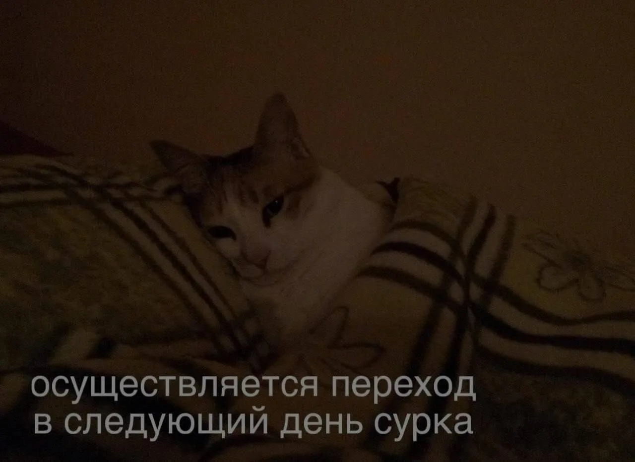 Доброй ночи.